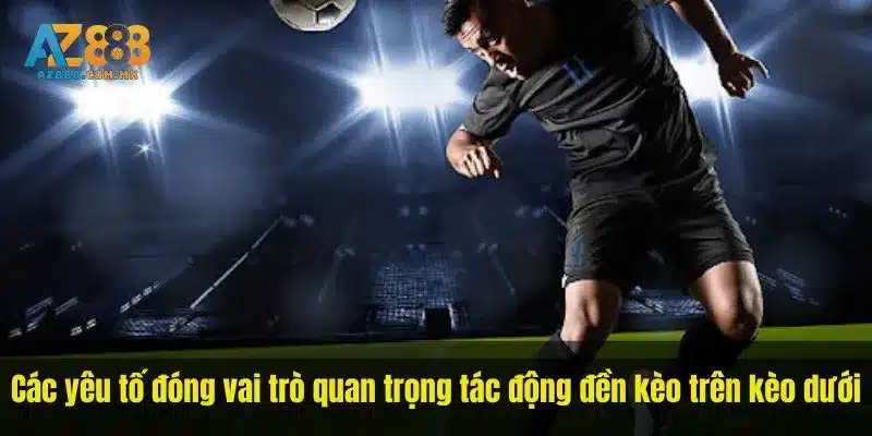 Các yêu tố đóng vai trò quan trọng tác động đền kèo trên kèo dưới