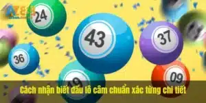 Cách nhận biết đầu lô câm chuẩn xác từng chi tiết