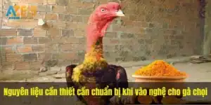 Nguyên liệu cần thiết cần chuẩn bị khi vào nghệ cho gà chọi