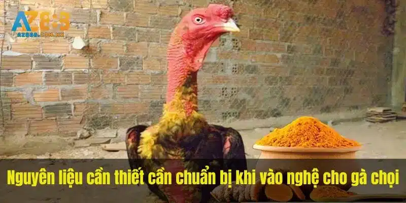Nguyên liệu cần thiết cần chuẩn bị khi vào nghệ cho gà chọi