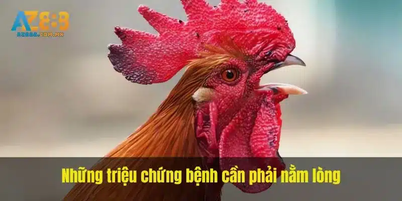 Những triệu chứng bệnh cần phải nằm lòng