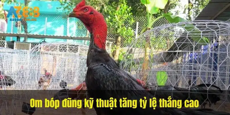 Om bóp đũng kỹ thuật tăng tỷ lệ thắng cao